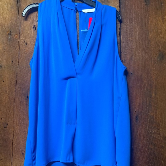 Lush Tops - NWT evereve blouse deep v